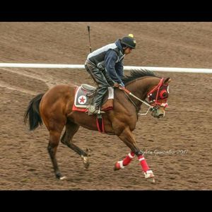 Meet your Posher, Jesus